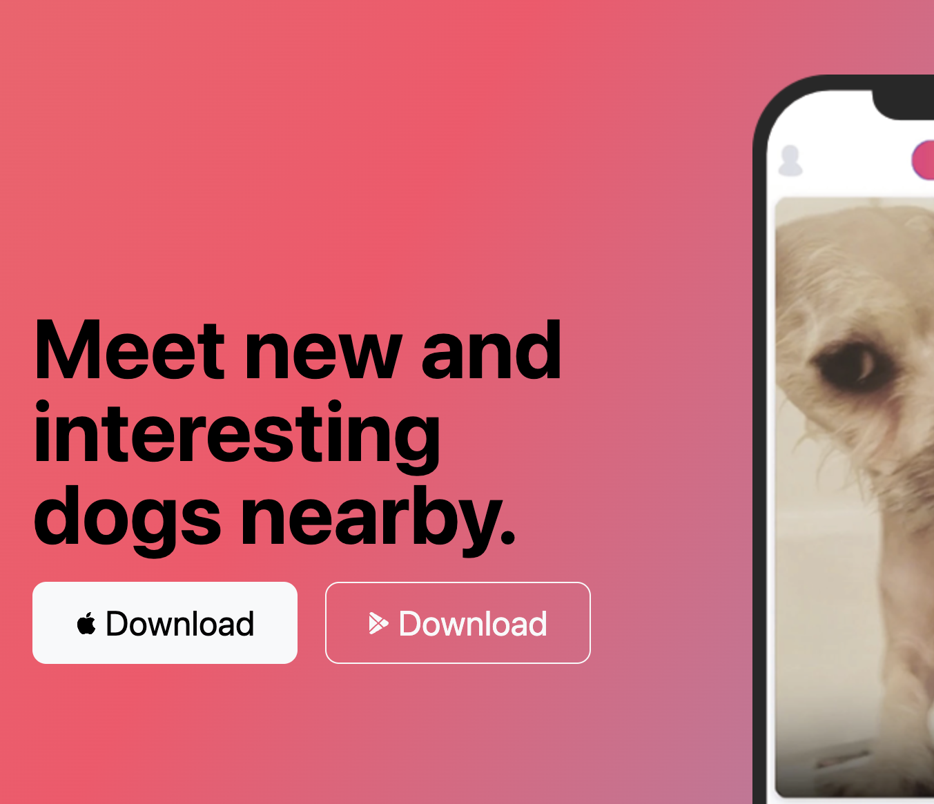 Tindog Project